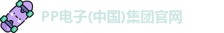 PP电子